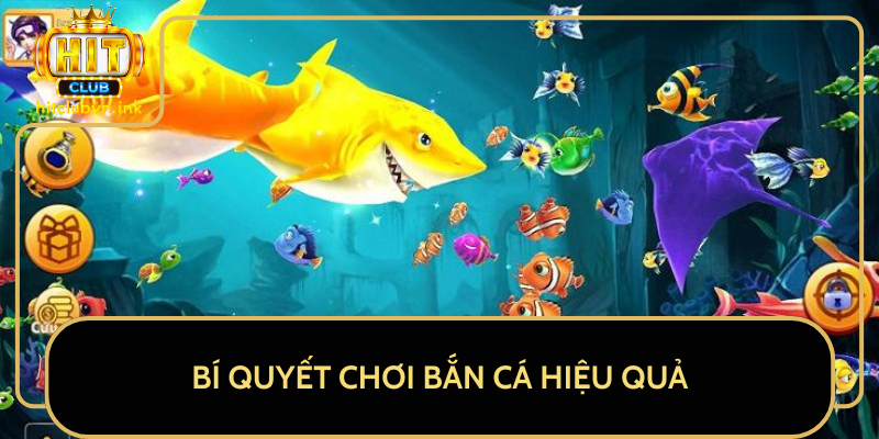 Bí Quyết Chơi Bắn Cá Hiệu Quả Bí Quyết Chơi Bắn Cá Hiệu Quả