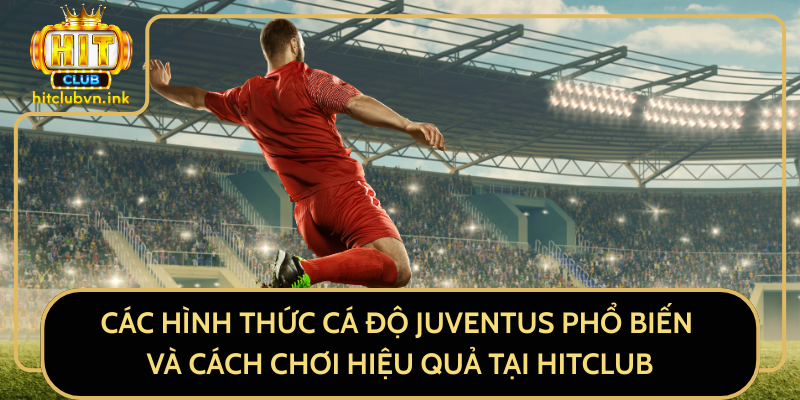 Các Hình Thức Cá Độ Juventus Phổ Biến Và Cách Chơi Hiệu Quả Tại HitClub