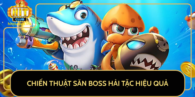Chiến Thuật Săn Boss Hải Tặc Hiệu Quả Chiến Thuật Săn Boss Hải Tặc Hiệu Quả