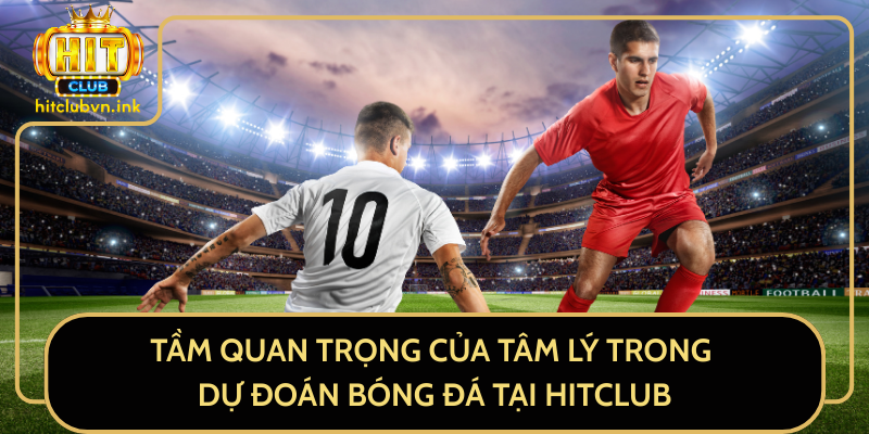 Tầm Quan Trọng Của Tâm Lý Trong Dự Đoán Bóng Đá Tại HitClub